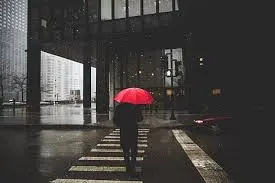 article_inner_image